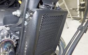 OTHER +ENFIELD SUPER ﾒﾃｵ650 2025