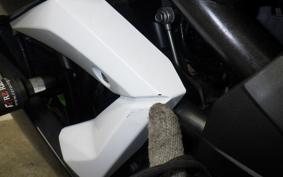 KAWASAKI NINJA 250 SL