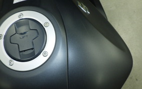 SUZUKI ｼﾞｸｻｰ250 2016 ED22B