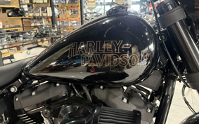HARLEY  HARLEY FXLRS 2023 YWZ