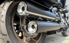 HARLEY FXLRST 2024 YXZ