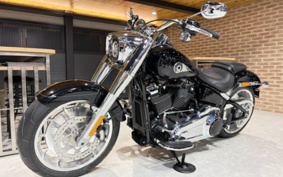 HARLEY FLFB 2025 YF9