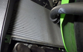 KAWASAKI ZX-4RR 2024 ZX400P