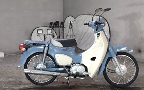 HONDA SUPER CUB50 AA09