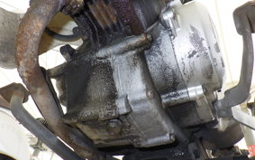 YAMAHA TOWN MATE 50 22F