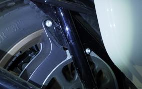 HARLEY FXLRST1920 2024