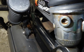 KAWASAKI W800 2016 EJ800A