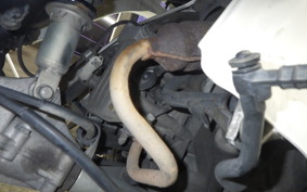 HONDA GYRO CANOPY TA03