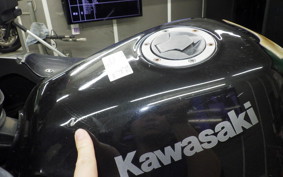 KAWASAKI NINJA 250R 2023 EX250K