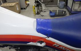 HONDA TLR250R 2007 MD18