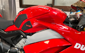 DUCATI PANIGA-REV4S 2019 DA00J