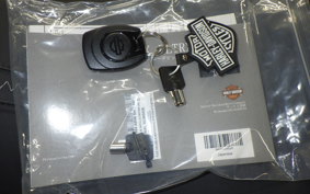 HARLEY FLHX1920 2024