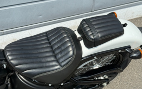 HARLEY  HARLEY FXBBS 2021 YYK