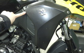 SUZUKI Vｽﾄﾛｰﾑ250 2010