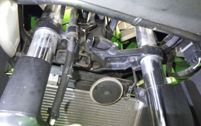 KAWASAKI NINJA 250 ABS 2021 EX250L