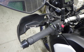 YAMAHA TENERE 700 2020 DM09J