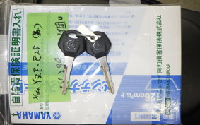 YAMAHA YZF-R25 2025 RG43J