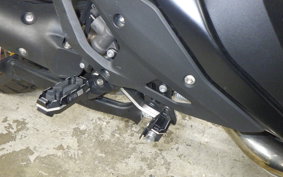 BMW R1300GS 2024
