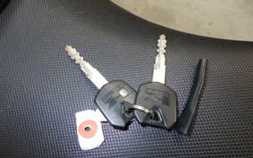 KAWASAKI NINJA 250R EX250K