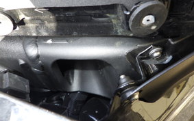 KAWASAKI NINJA1100SX 2025