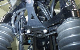KAWASAKI W800 2024 EJ800E