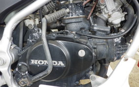 HONDA MVX250F 2025 MC09