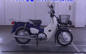 OTHER C110PU LOW 3