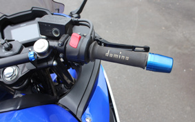 SUZUKI GSX250 R DN11A