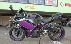 KAWASAKI NINJA 400 2019 EX400G