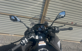 KAWASAKI NINJA 1000 SX 2024 ZXT02K