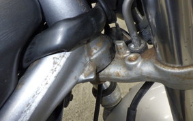 HONDA VTR 250 2024 MC33