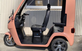 OTHER VEHICLE FUN EVTUKTUK ...