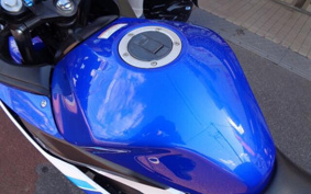 SUZUKI GSX250 R DN11A