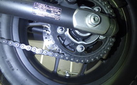 HONDA REBEL 1100 T 2024