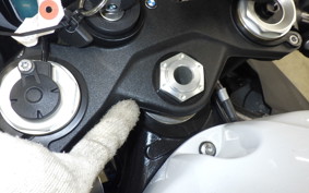 BMW S1000RR M DDC 2024