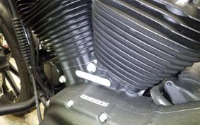 HARLEY XL883N 2018
