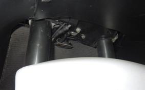 KAWASAKI ZX 1400 NINJA R A 2020