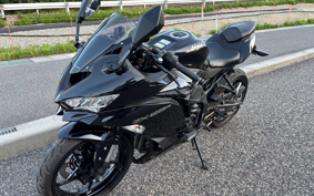 KAWASAKI NINJA ZX-25R ZX250E