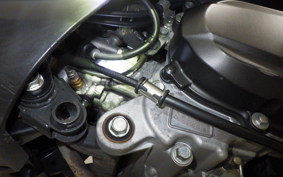 HONDA GIORNO 3 AF77
