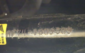 HONDA ﾀﾞﾝｸ AF74