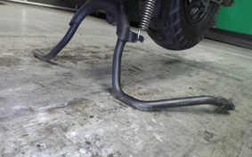 HONDA ZOOMER 2021 AF58