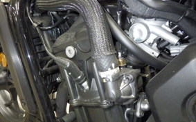 HONDA REBEL 1100 2023 SC83