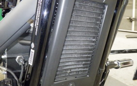 HARLEY FXBRS1870 2021