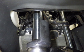 KAWASAKI NINJA 250 2021 EX250L