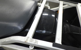 KAWASAKI SUPER SHERPA 2011 KL250G