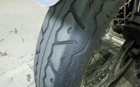 KAWASAKI W800 2021 EJ800B