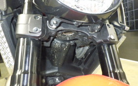 DUCATI DIAVEL Stripe 2014