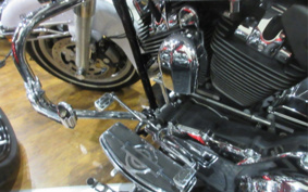 HARLEY HARLEY FLHTC 2007 FF4
