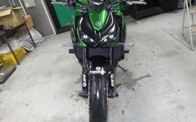 KAWASAKI Z1000 Gen.5 2019 ZXT00W