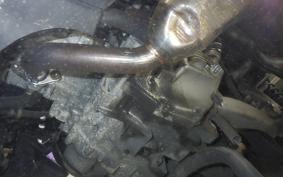 HONDA FAZE 2025 MF11